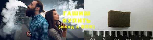стаф Бородино