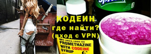 стаф Бородино